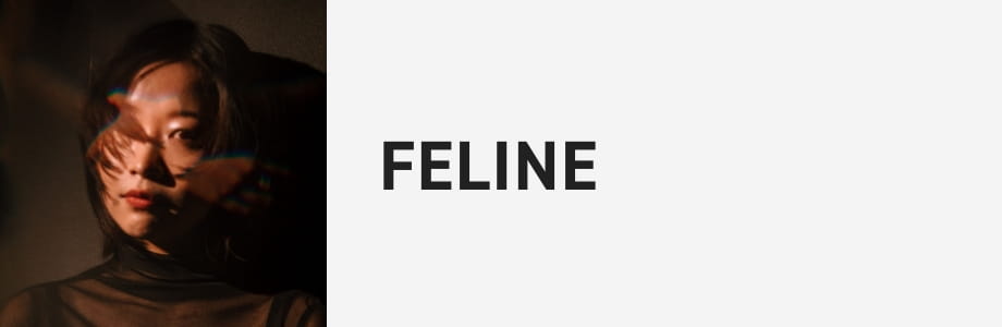 FELINE